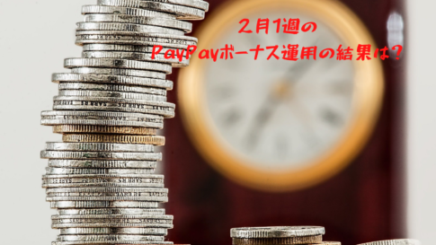 2月1週のPayPayボーナス運用の結果は？※悲しみの結果の翌週は？